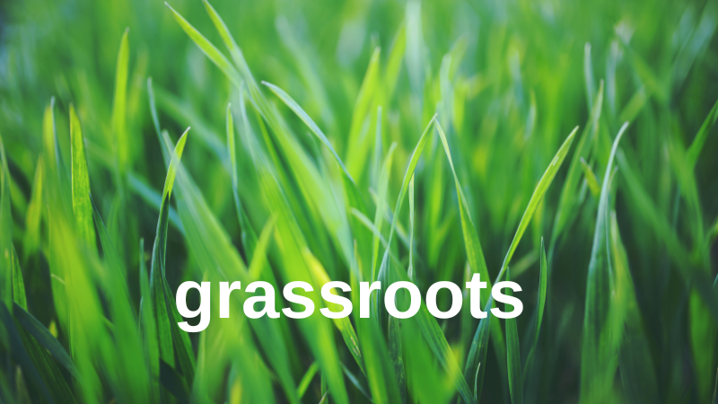 grassroots 800x450