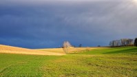 Harvesting Dreams