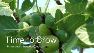 Time to Grow
