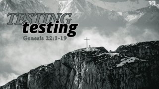 Testing Testing